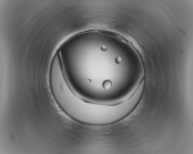 X0000111000904200906261456