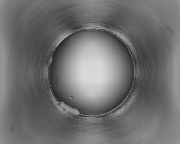 X0000111000905200906261456