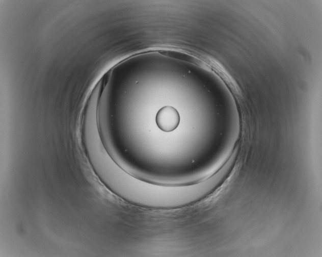 X0000111000908200906261456