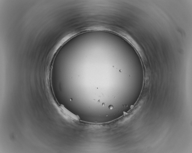 X0000111000909200906261456