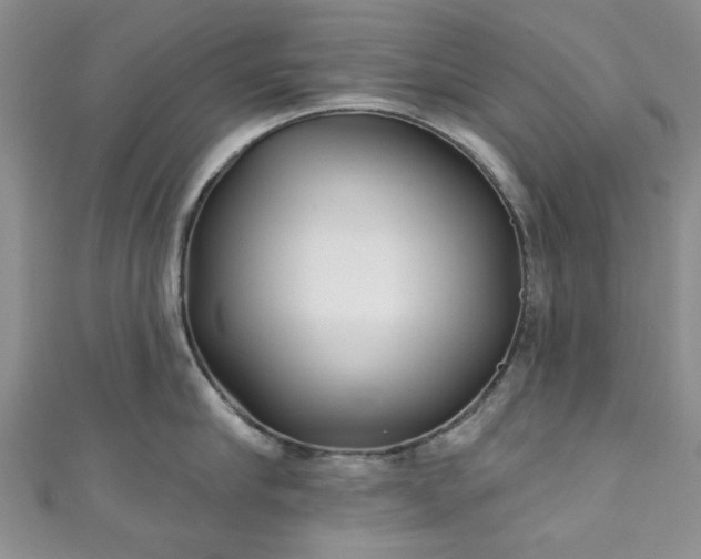 X0000111000910200906261456