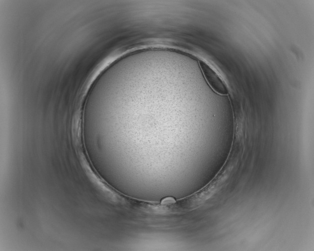 X0000111000911200906261456