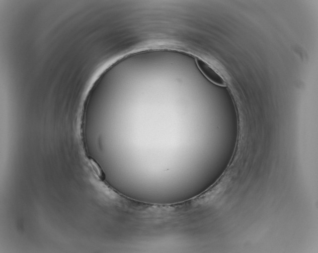 X0000111000912200906261456