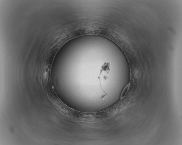 X0000111000914200906261455