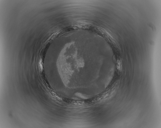 X0000111000915200906261455