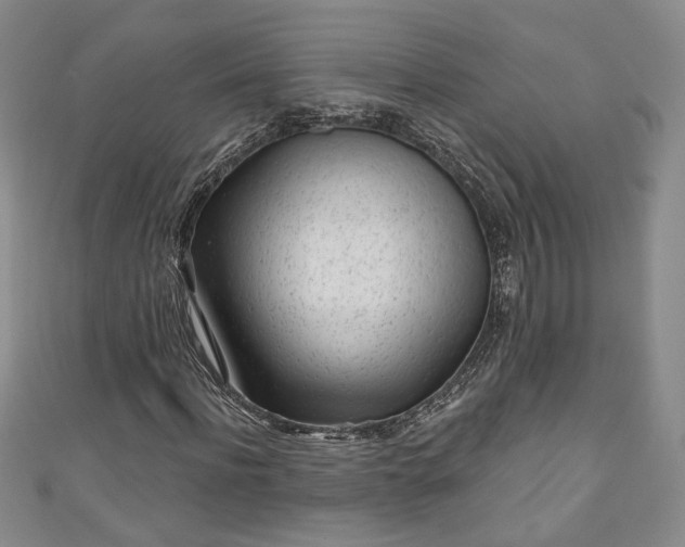 X0000111000916200906261455