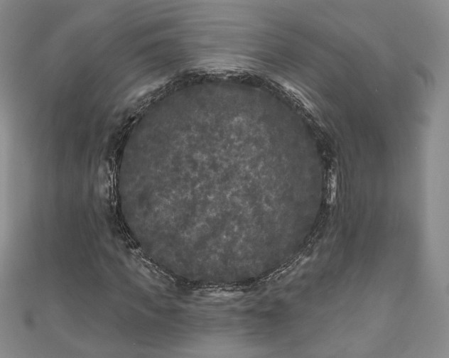 X0000111000917200906261455