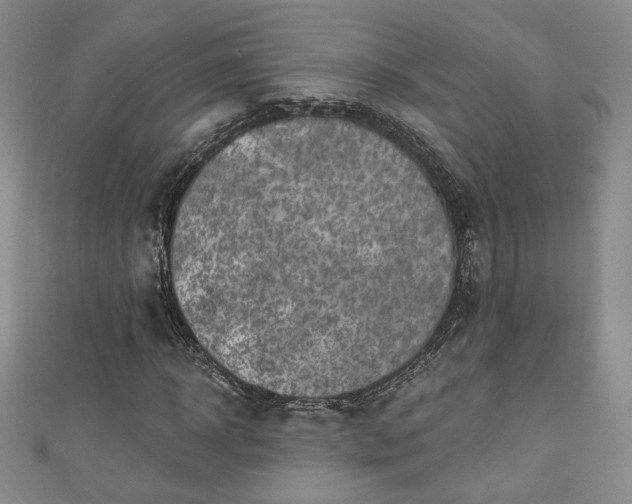 X0000111000918200906261455