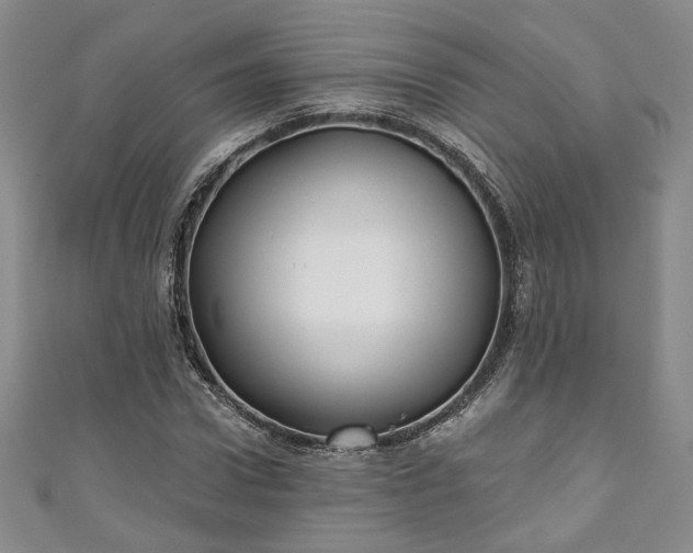 X0000111000922200906261455