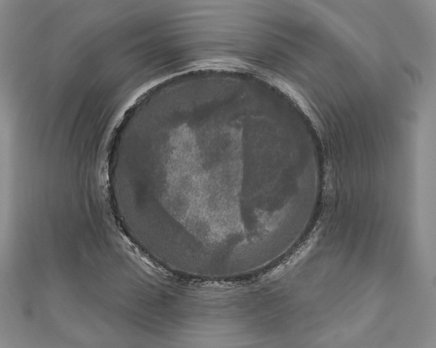 X0000111000923200906261455