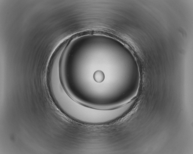 X0000111000924200906261455