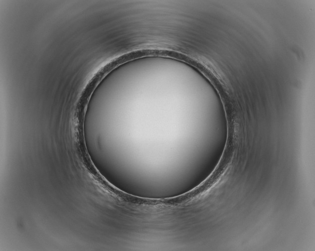 X0000111000926200906261455