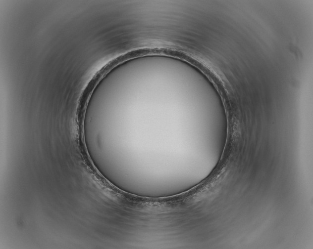 X0000111000927200906261455