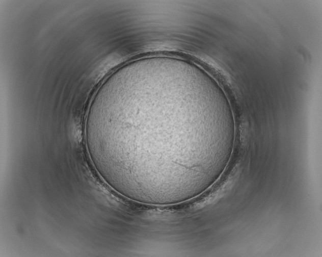 X0000111000929200906261455