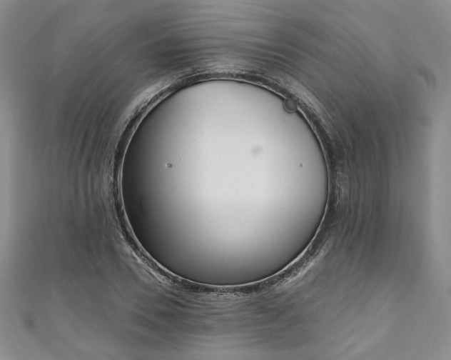 X0000111000930200906261455