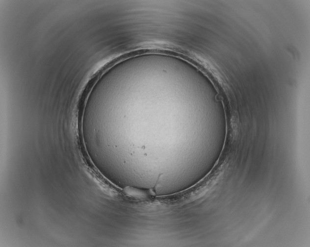 X0000111000931200906261455