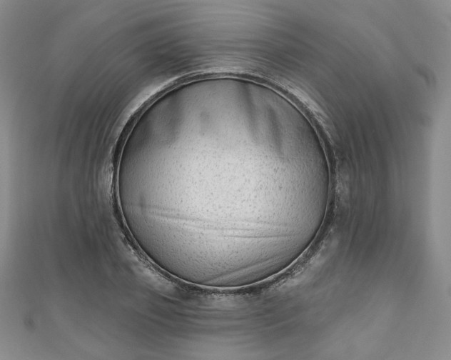 X0000111000933200906261455