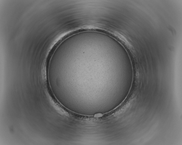 X0000111000934200906261456