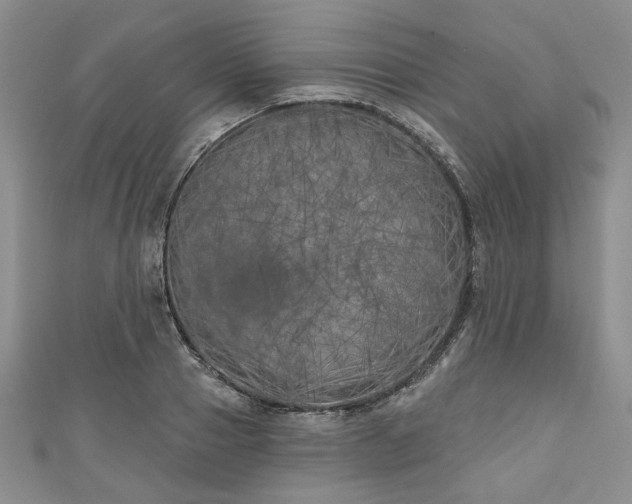 X0000111000937200906261456