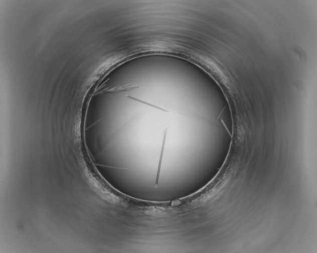 X0000111000938200906261456