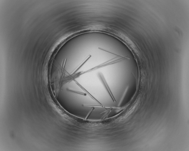 X0000111000939200906261456
