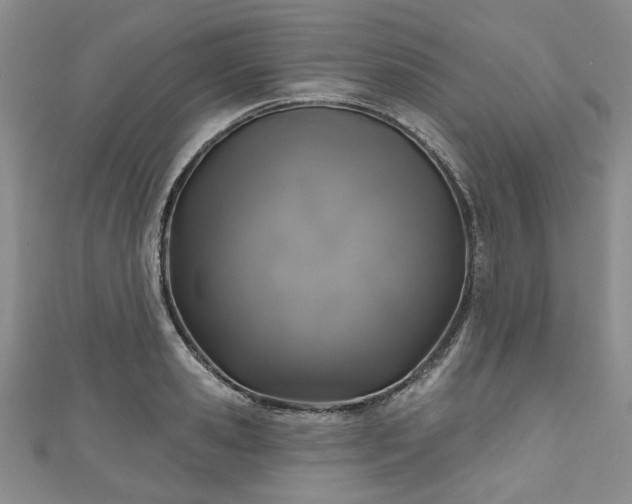 X0000111000941200906261456