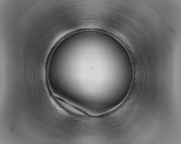 X0000111000942200906261456