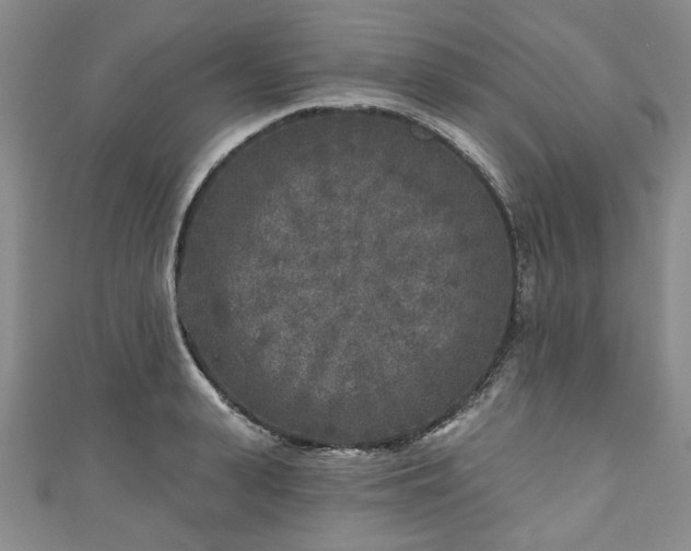 X0000111000943200906261456