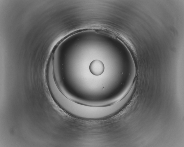 X0000111000944200906261456