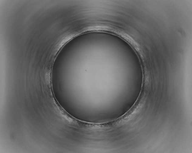 X0000111000945200906261456