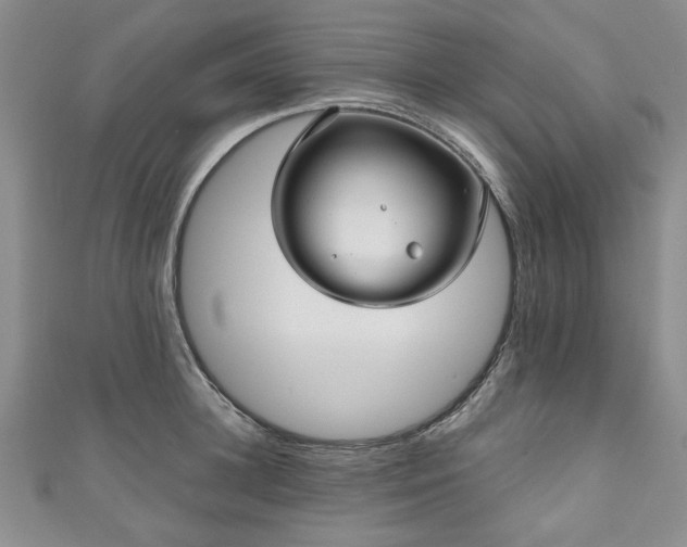 X0000111000948200906261456