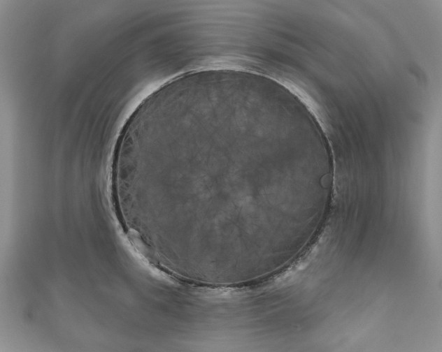 X0000111000949200906261456