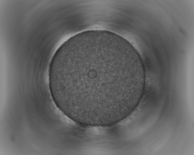 X0000111000950200906261456