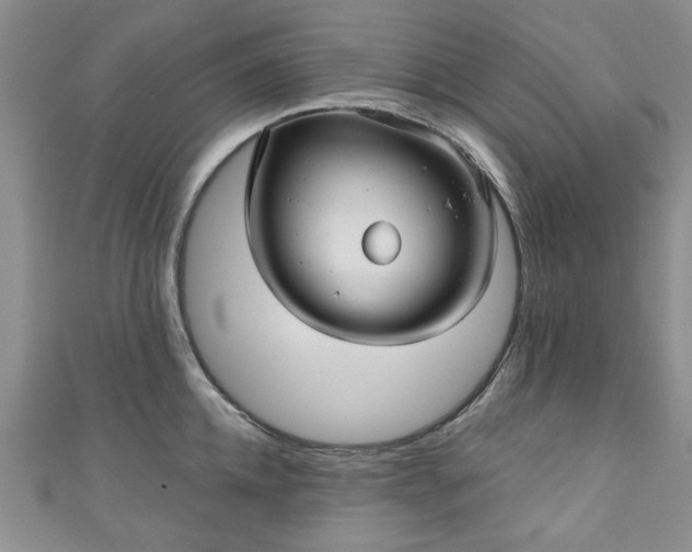 X0000111000952200906261456