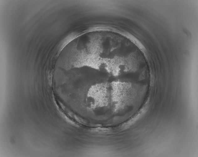 X0000111000953200906261456