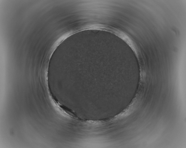 X0000111000954200906261456