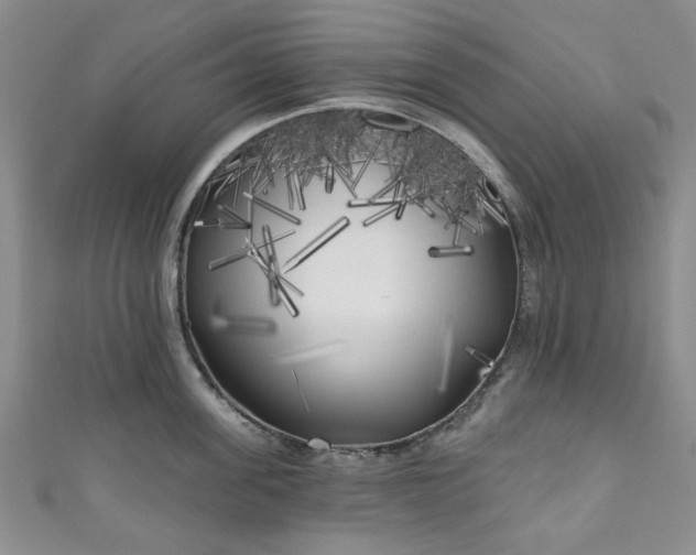 X0000111000955200906261456