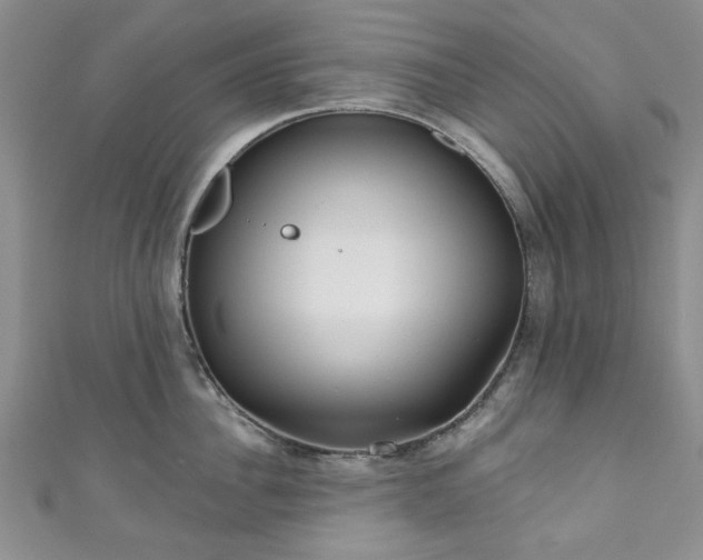 X0000111000956200906261456