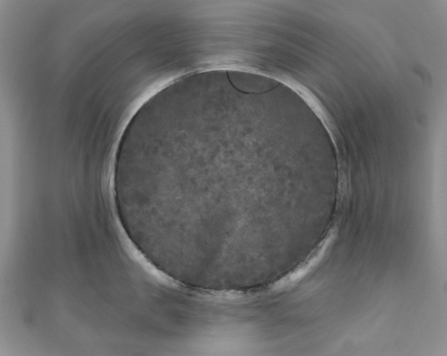 X0000111000957200906261456