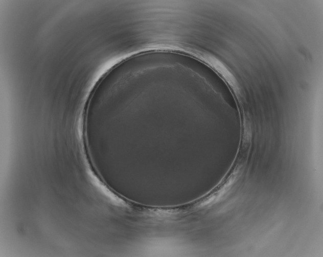 X0000111000958200906261456