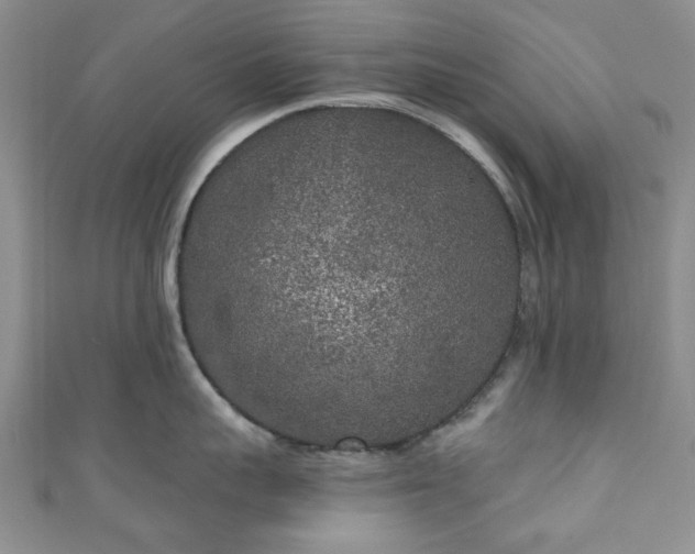 X0000111000959200906261456