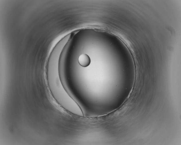 X0000111000960200906261456