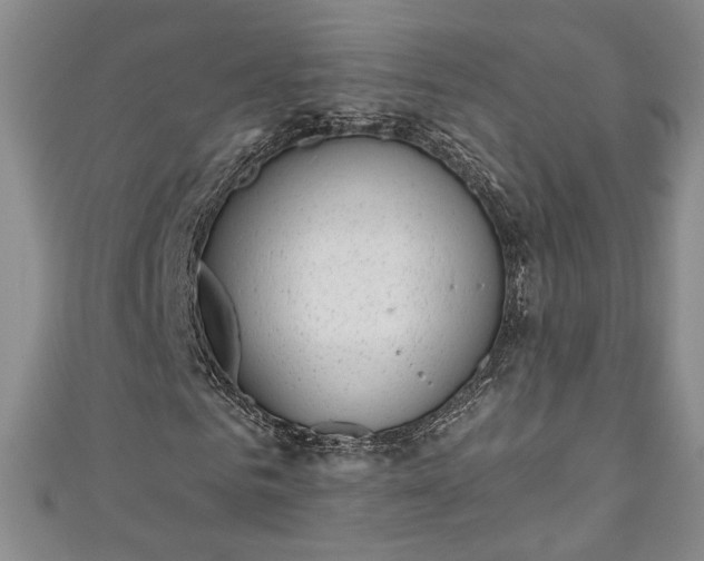 X0000111000961200906261455