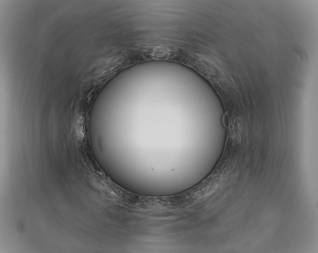 X0000111000962200906261455