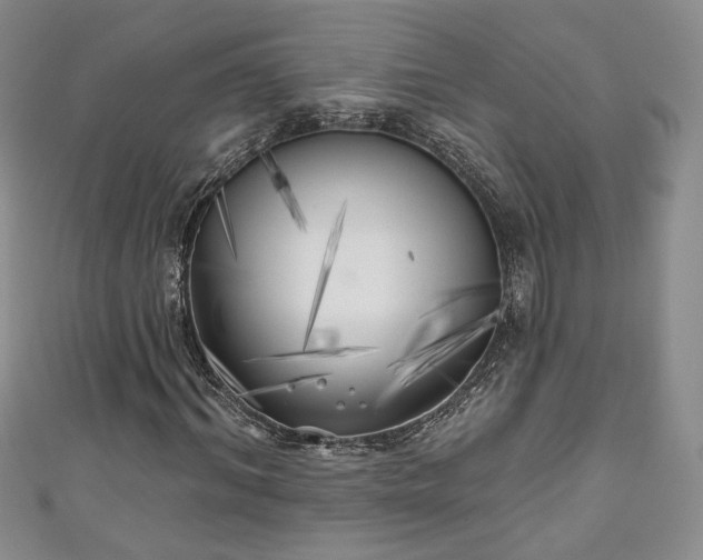 X0000111000964200906261455