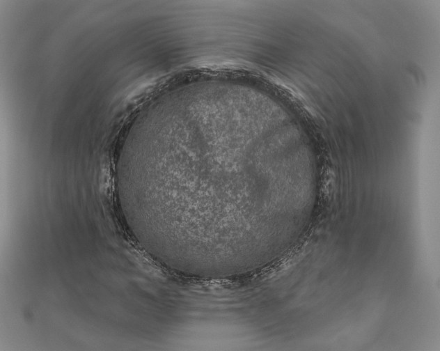 X0000111000966200906261455