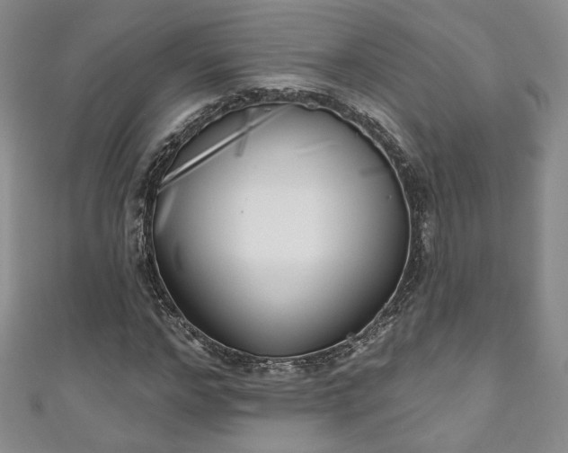 X0000111000968200906261455