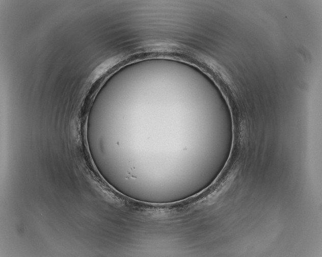 X0000111000970200906261455