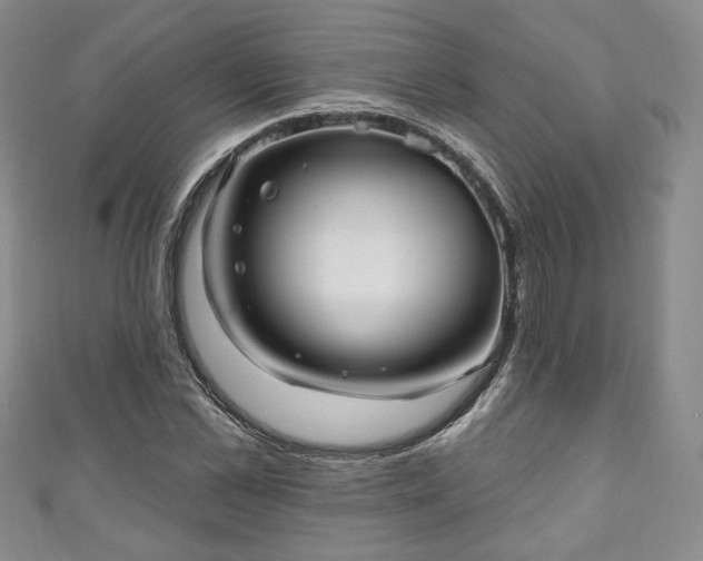 X0000111000973200906261455