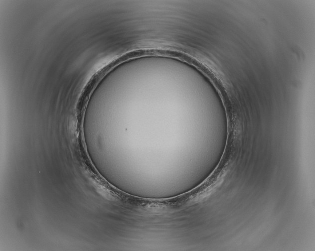 X0000111000974200906261455